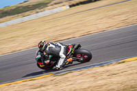 anglesey-no-limits-trackday;anglesey-photographs;anglesey-trackday-photographs;enduro-digital-images;event-digital-images;eventdigitalimages;no-limits-trackdays;peter-wileman-photography;racing-digital-images;trac-mon;trackday-digital-images;trackday-photos;ty-croes